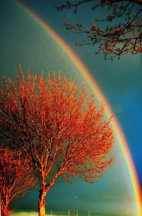 Photo:  rainbow 3